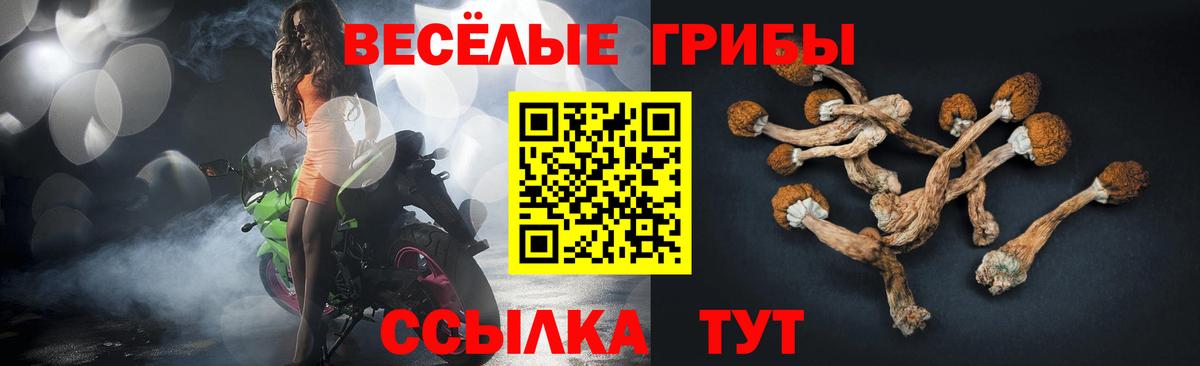 Псилоцибиновые грибы прущие грибы  Псилоцибиновые грибы мицелий  Салехард  Вход с VPN 