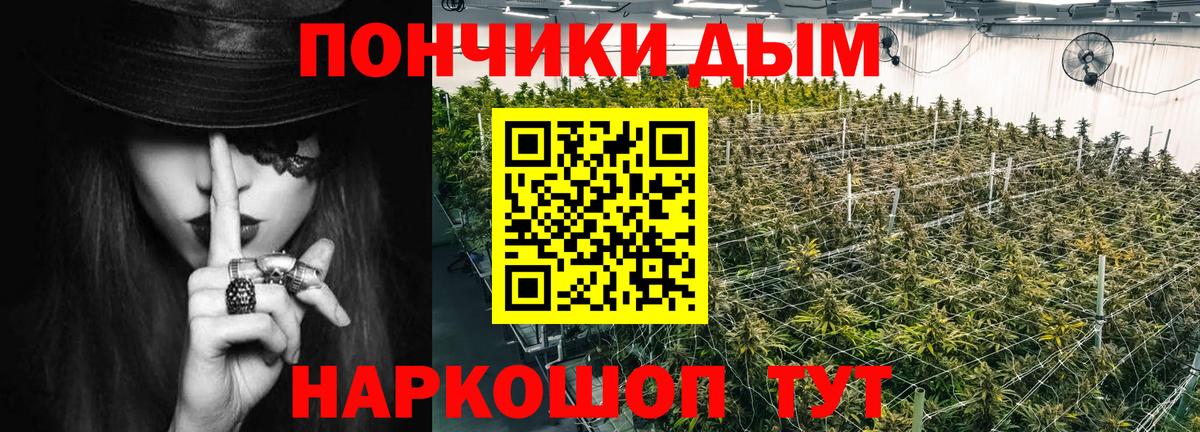 Каннабис гибрид  Каннабис Amnesia  Конопля планчик  Канабис семена  Вход с VPN  Салехард 